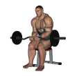 EZ Bar Curl - Seated Close Grip